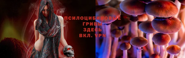 дживик Володарск
