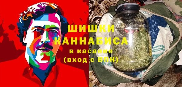 дживик Володарск