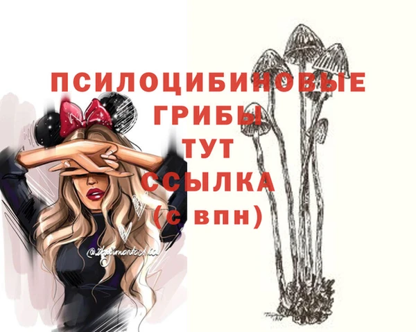 ALPHA-PVP Медногорск
